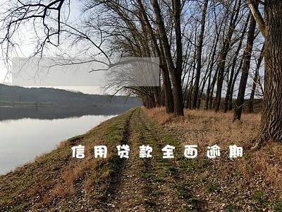 信用贷款全面逾期 信用贷款全面逾期