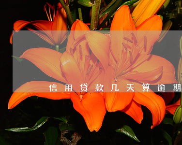 信用贷款几天算逾期 信用贷款几天算逾期