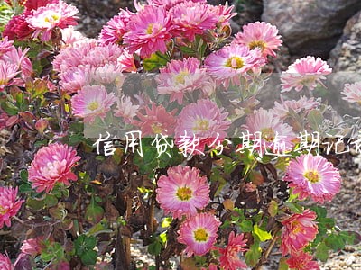 信用贷款分期逾期记录
