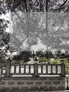 信用贷款利息晚还一天算逾期吗 信用贷款利息晚还一天算逾期吗