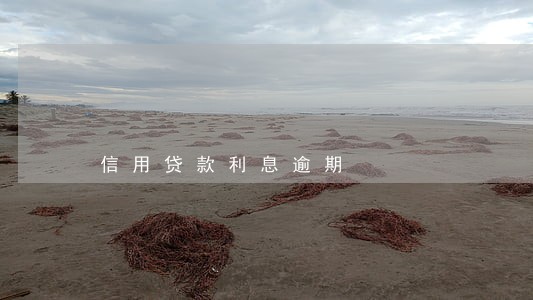 信用贷款利息逾期 信用贷款利息逾期