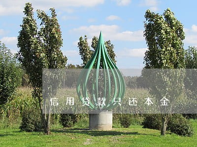 信用贷款只还本金 信用贷款只还本金