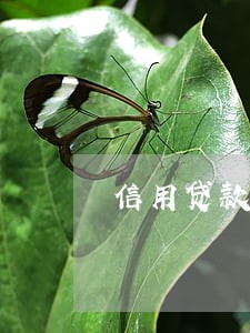 信用贷款可以逾期 信用贷款可以逾期