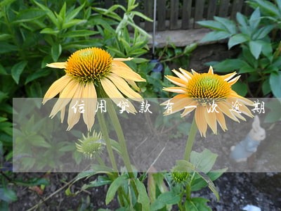 信用贷款有一次逾期 信用贷款有一次逾期
