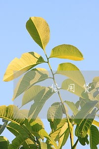信用贷款有逾期 信用贷款有逾期
