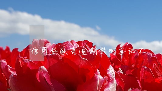 信用贷款有逾期影响签证不 信用贷款有逾期影响签证不