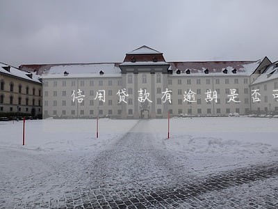 信用贷款有逾期是否可以出国 信用贷款有逾期是否可以出国