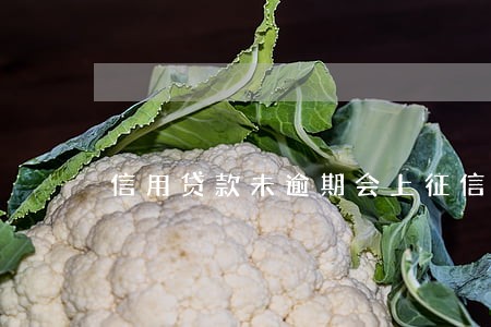 信用贷款未逾期会上征信嘛 信用贷款未逾期会上征信嘛