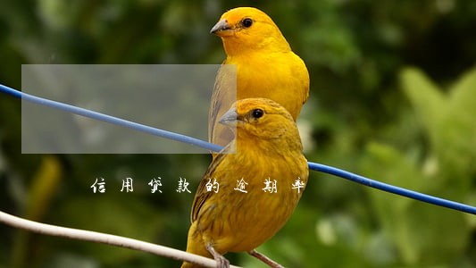 信用贷款的逾期率 信用贷款的逾期率