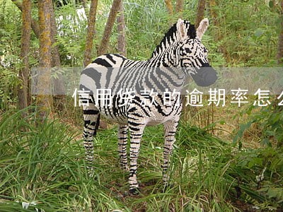 信用贷款的逾期率怎么算 信用贷款的逾期率怎么算