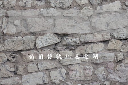 信用贷款结息逾期 信用贷款结息逾期
