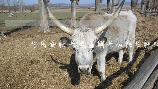 信用贷款老婆逾期老公能贷款吗 信用贷款老婆逾期老公能贷款吗