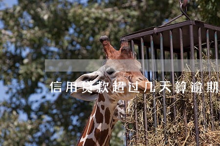 信用贷款超过几天算逾期 信用贷款超过几天算逾期