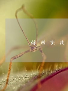 信用贷款还款逾期一天 信用贷款还款逾期一天