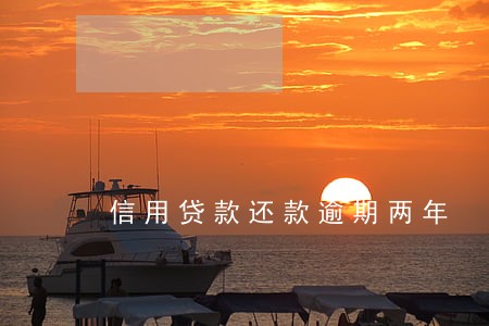信用贷款还款逾期两年