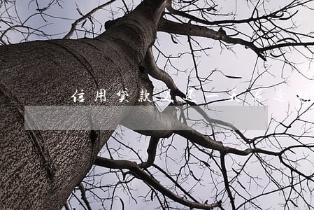 信用贷款迟还一天算逾期吗 信用贷款迟还一天算逾期吗