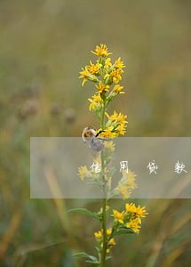 信用贷款逾期10个月 信用贷款逾期10个月