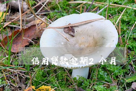 信用贷款逾期2个月