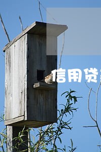 信用贷款逾期一个月怎么办 信用贷款逾期一个月怎么办