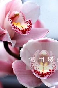 信用贷款逾期一天会上征信吗 信用贷款逾期一天会上征信吗