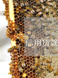 信用贷款逾期一天后果 信用贷款逾期一天后果