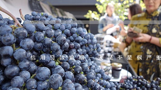 信用贷款逾期一天是不是很严重