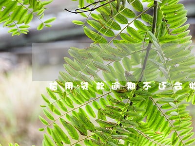 信用贷款逾期不还会收回房子吗 信用贷款逾期不还会收回房子吗