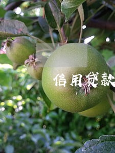 信用贷款逾期不还怎么处理 信用贷款逾期不还怎么处理