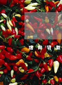 信用贷款逾期两天 信用贷款逾期两天