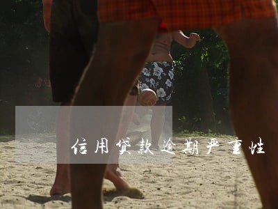 信用贷款逾期严重性 信用贷款逾期严重性