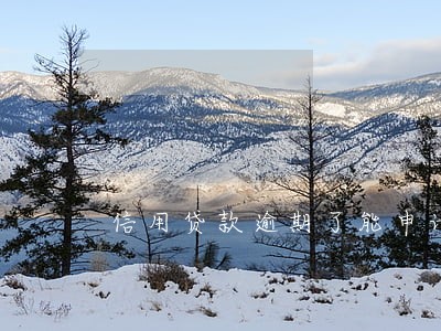 信用贷款逾期了能申请破产吗 信用贷款逾期了能申请破产吗