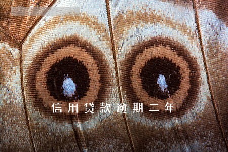 信用贷款逾期二年 信用贷款逾期二年