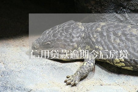 信用贷款逾期今后房贷 信用贷款逾期今后房贷
