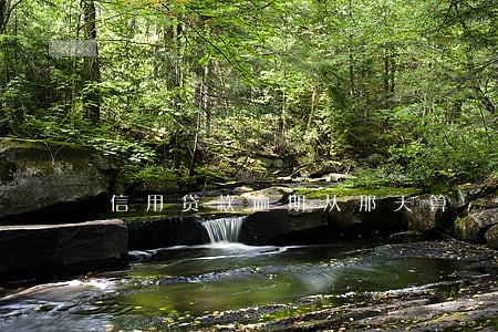 信用贷款逾期从那天算 信用贷款逾期从那天算