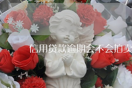 信用贷款逾期会不会拍卖房子 信用贷款逾期会不会拍卖房子