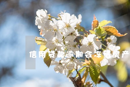 信用贷款逾期会冻结房产吗 信用贷款逾期会冻结房产吗