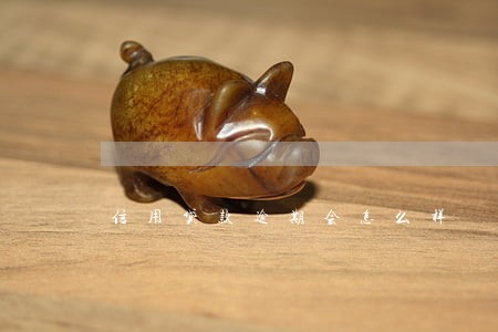 信用贷款逾期会怎么样 信用贷款逾期会怎么样