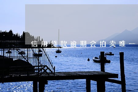 信用贷款逾期会拍卖唯一房子吗 信用贷款逾期会拍卖唯一房子吗