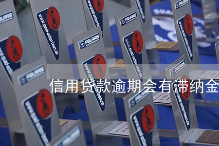 信用贷款逾期会有滞纳金 信用贷款逾期会有滞纳金