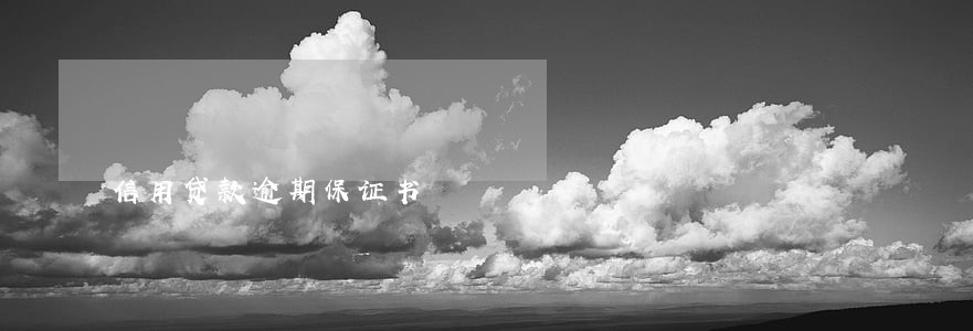 信用贷款逾期保证书 信用贷款逾期保证书