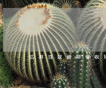 信用贷款逾期催收短信 信用贷款逾期催收短信