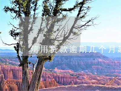 信用贷款逾期几个月起诉 信用贷款逾期几个月起诉