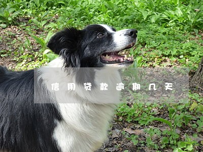 信用贷款逾期几天 信用贷款逾期几天
