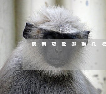 信用贷款逾期几次影响征信 信用贷款逾期几次影响征信