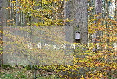 信用贷款逾期利息怎么算的 信用贷款逾期利息怎么算的