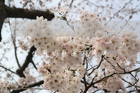 信用贷款逾期半年 信用贷款逾期半年
