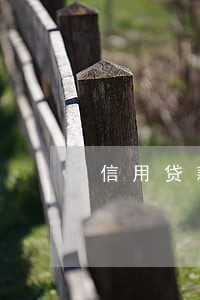 信用贷款逾期原因 信用贷款逾期原因