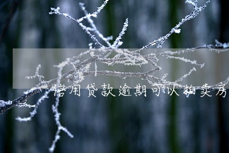 信用贷款逾期可以拍卖房产吗 信用贷款逾期可以拍卖房产吗