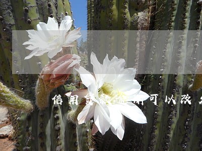 信用贷款逾期可以改名字吗 信用贷款逾期可以改名字吗