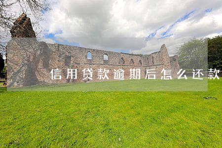 信用贷款逾期后怎么还款 信用贷款逾期后怎么还款